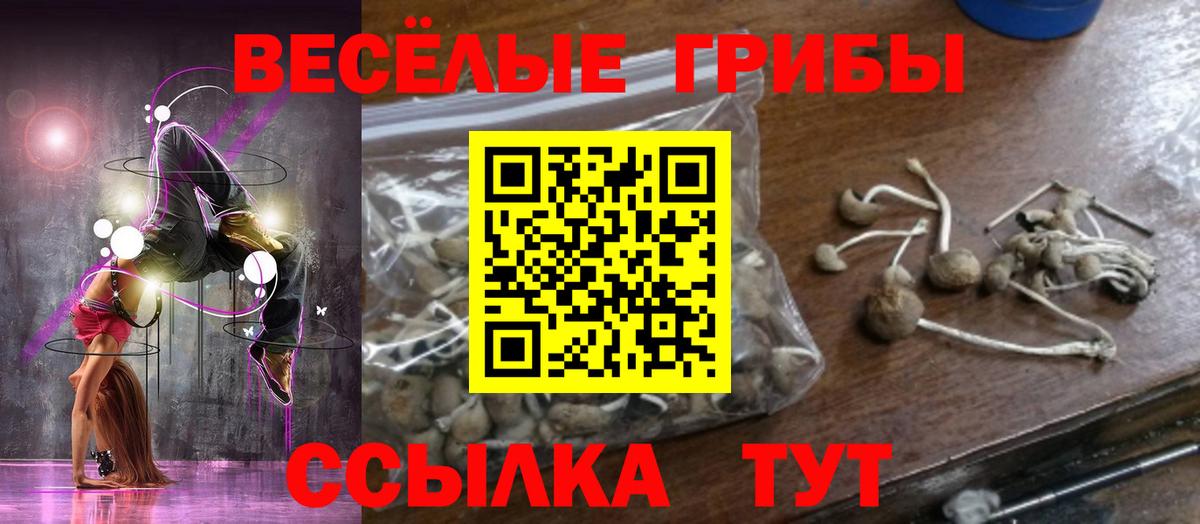 Галлюциногенные грибы ЛСД Зеленогорск